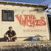 The Vincenzos
