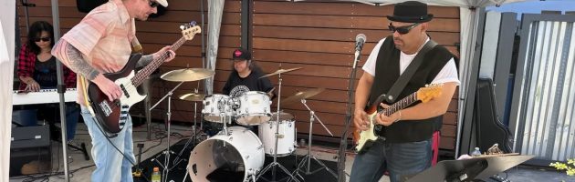 Sanazul @ Ten Mile Brewing