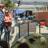 Layakari @ West LA Farmers Market